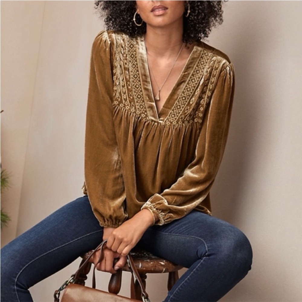 Garnet Hill Embroidered Yoke Velvet Blouse